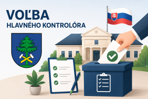 voľby HK